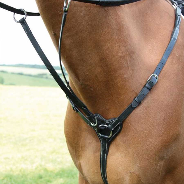 Breastplate Salisbury Black in the group Horse Tack / Martingale & Breastplate / Breastplate at Equinest (SH29401Sv_r)