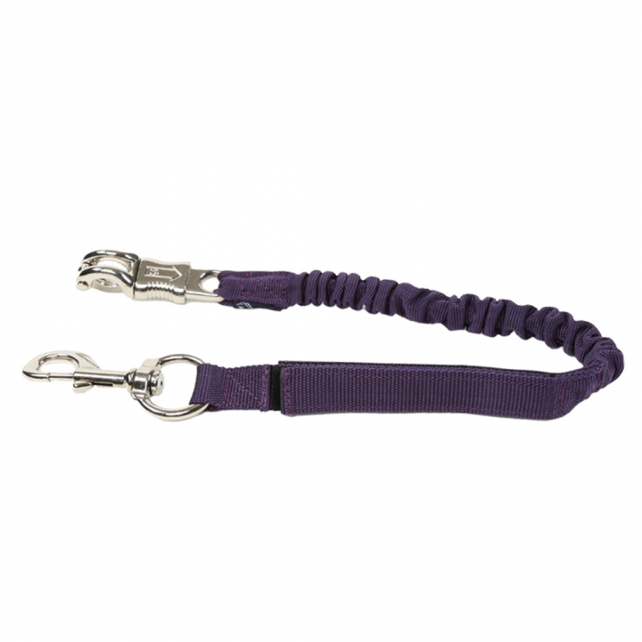 Stretch Transport Lead Rope Purple in the group Horse Tack / Lead Ropes & Trailer Ties / Trailer Ties & Bungee at Equinest (SH397BLI)