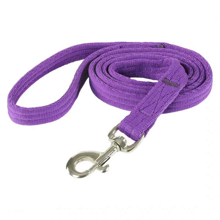 Lead Rope Purple in the group Horse Tack / Lead Ropes & Trailer Ties / Nylon & Cotton Lead Ropes at Equinest (SH421LI)