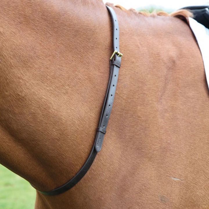 Aid Reins Neck Strap in the group Horse Tack / Reins / Help Reins at Equinest (SH447GBR)