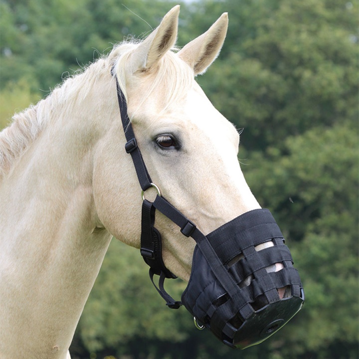 Grazing Muzzle Black Full in the group Stable & Paddock / Paddock at Equinest (SH495NSV-F)