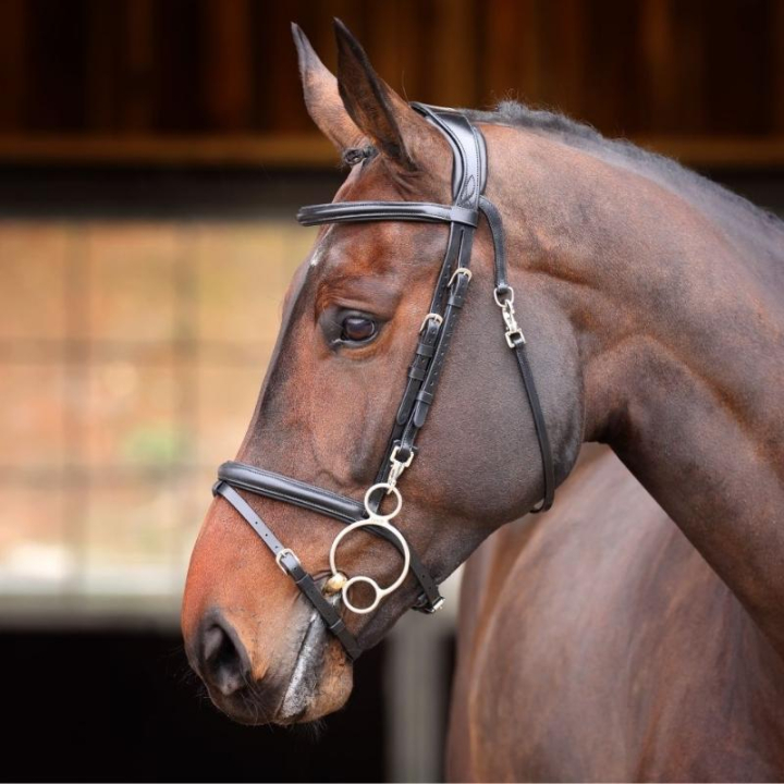 Bridle Quick Release Rapida Black in the group Horse Tack / Bridles & Browbands / Bridles at Equinest (SH512501BA_r)