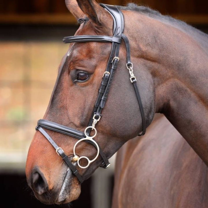 Bridle Quick Release Rapida Black in the group Horse Tack / Bridles & Browbands / Bridles at Equinest (SH512501BA_r)