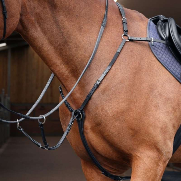 Breastplate with Martingale Rapida Black in the group Horse Tack / Martingale & Breastplate / Breastplate at Equinest (SH513501BA_r)