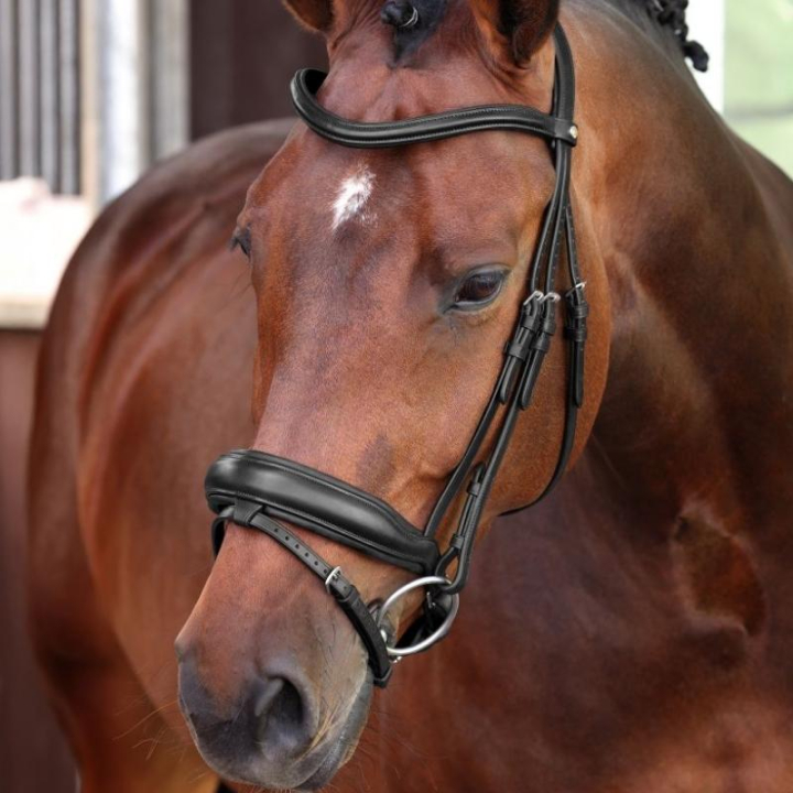 Dressage Bridle LUSSO Elite Black in the group Horse Tack / Bridles & Browbands / Double Bridle, Weymouth & Dressage Bridles at Equinest (SH514901BA_r)