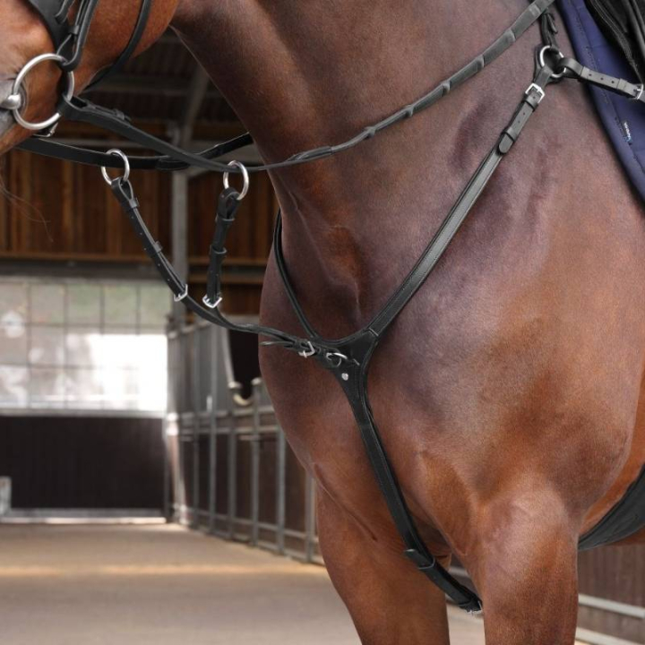 Breastplate with Martingale LUSSO Elite Black in the group Horse Tack / Martingale & Breastplate / Breastplate at Equinest (SH515101BA_r)