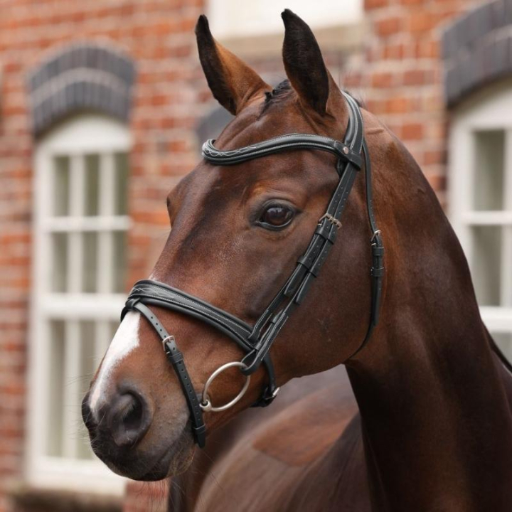 Bridle Padded Noseband LUSSO Opus 180M Black in the group Horse Tack / Bridles & Browbands / Bridles at Equinest (SH515401BA_r)