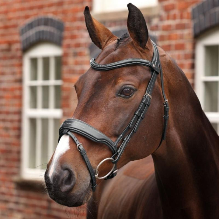 Bridle Wide Noseband LUSSO Opus 180M Black in the group Horse Tack / Bridles & Browbands / Bridles at Equinest (SH515801BA_r)