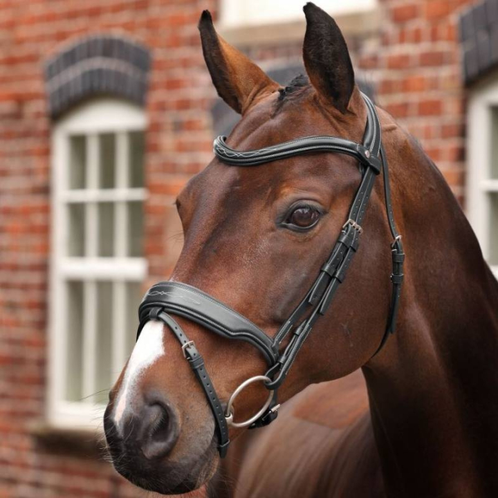 Bridle Wide Noseband LUSSO Opus 180M Black in the group Horse Tack / Bridles & Browbands / Bridles at Equinest (SH515801BA_r)