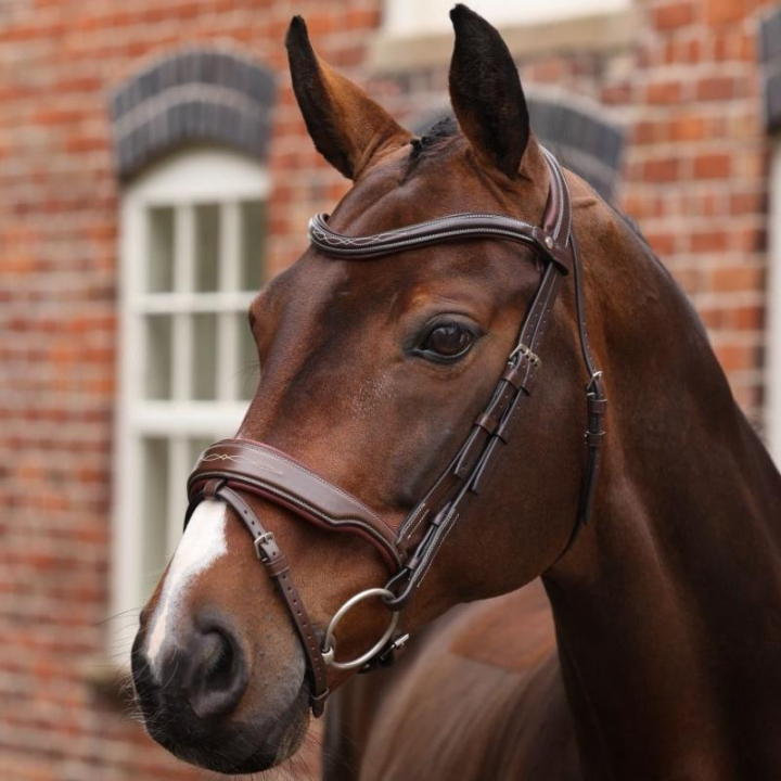 Bridle Wide Noseband LUSSO Opus 180M Brown in the group Horse Tack / Bridles & Browbands / Bridles at Equinest (SH515803BR_r)
