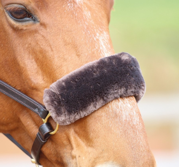 Fleece Noseband Brown in the group Horse Tack / Bridles & Browbands / Noseband Guard, Chin Protection & Crown Pads at Equinest (SH5243BR)