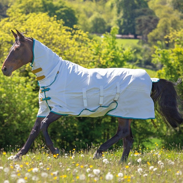 Tempest Plus Fly and Sweet Itch Rug White in the group Horse Rugs / Fly Rugs & Eczema Rugs at Equinest (SH9325_V_r)