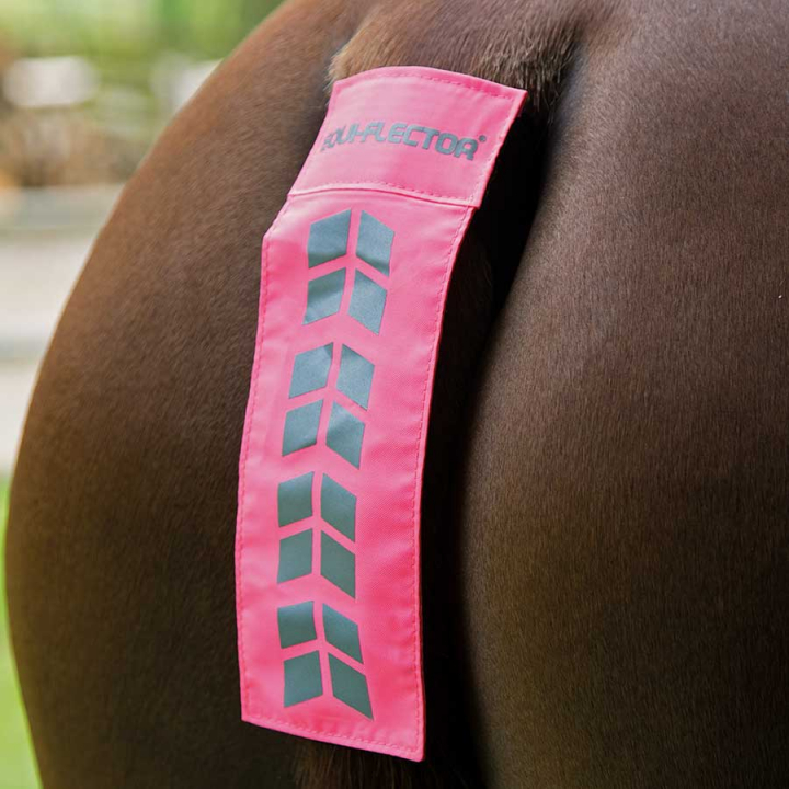 Tail Reflectors Pink in the group Riding Equipment / Reflective Equestrian Wear at Equinest (SH941835RS)