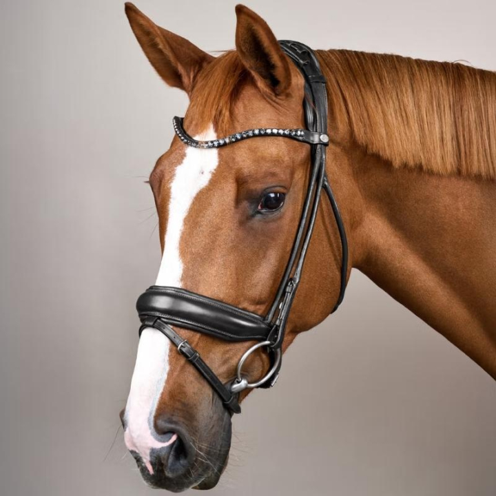 Dressage Bridle Wide Noseband Soft Collection Black in the group Horse Tack / Bridles & Browbands / Double Bridle, Weymouth & Dressage Bridles at Equinest (SO1000301BA_r)