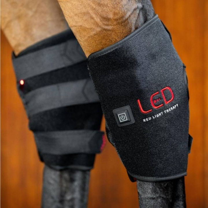 LED Red Light Therapy Hock Boot Black in the group Grooming & Health Care / Massage & Blood Circulation at Equinest (TLHHT1KK0BA_r)