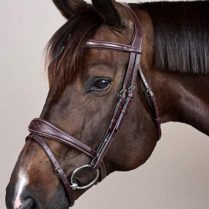 Anatomic Flash Noseband Bridle US Collection Brown in the group Horse Tack / Bridles & Browbands / Bridles at Equinest (USABABBRCBR_r)