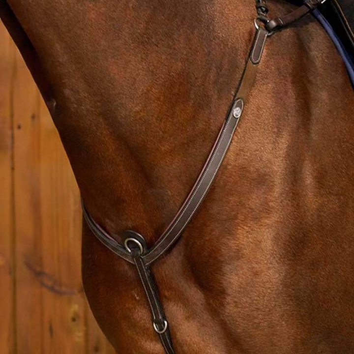 Breastplate with Bridge WC Brown in the group Horse Tack / Martingale & Breastplate / Breastplate at Equinest (WO06DBr_r)