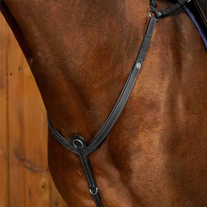 Breastplate with Bridge WC Black in the group Horse Tack / Martingale & Breastplate / Breastplate at Equinest (WO06DSv_r)