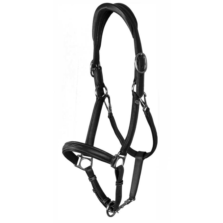 Leather Halter 2-in-1 WC Black in the group Horse Tack / Halters / Leather Halters at Equinest (WO09ASv_r)