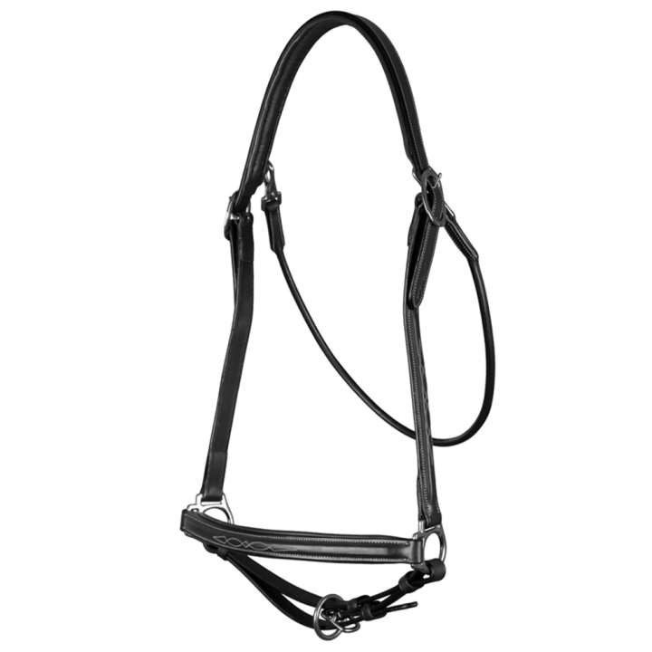 Grooming Halter Leather WBD Black in the group Horse Tack / Halters / Leather Halters at Equinest (WO09BBLCBA_r)
