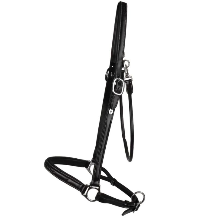 Grooming Halter Leather WBD Black in the group Horse Tack / Halters / Leather Halters at Equinest (WO09BBLCBA_r)