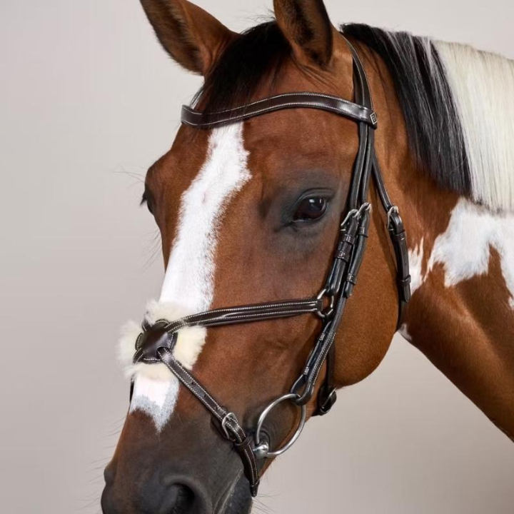 Mexican Noseband Bridle WC Brown in the group Horse Tack / Bridles & Browbands / Bridles at Equinest (WOAQHCBr_r)