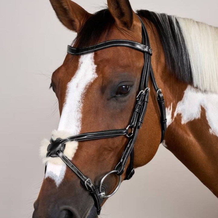 Mexican Noseband Bridle WC Black in the group Horse Tack / Bridles & Browbands / Bridles at Equinest (WOAQHCSv_r)