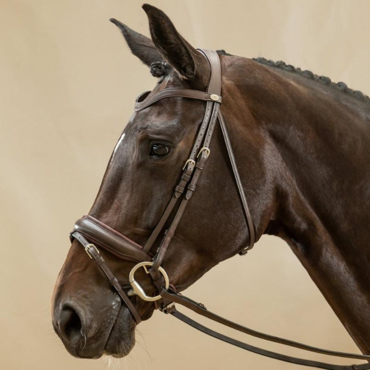 Dressage Bridle Matte Working Collection Brown in the group Horse Tack / Bridles & Browbands / Double Bridle, Weymouth & Dressage Bridles at Equinest (WODCAMBRCBR_r)