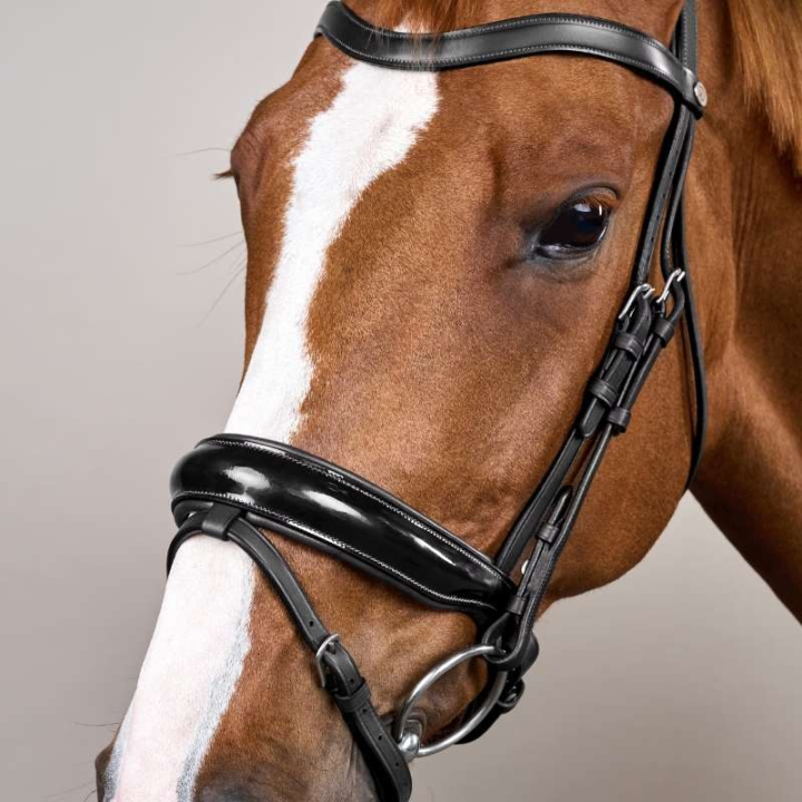 Patent Dressage Bridle Working Collection Black in the group Horse Tack / Bridles & Browbands / Double Bridle, Weymouth & Dressage Bridles at Equinest (WODCANSv_r)