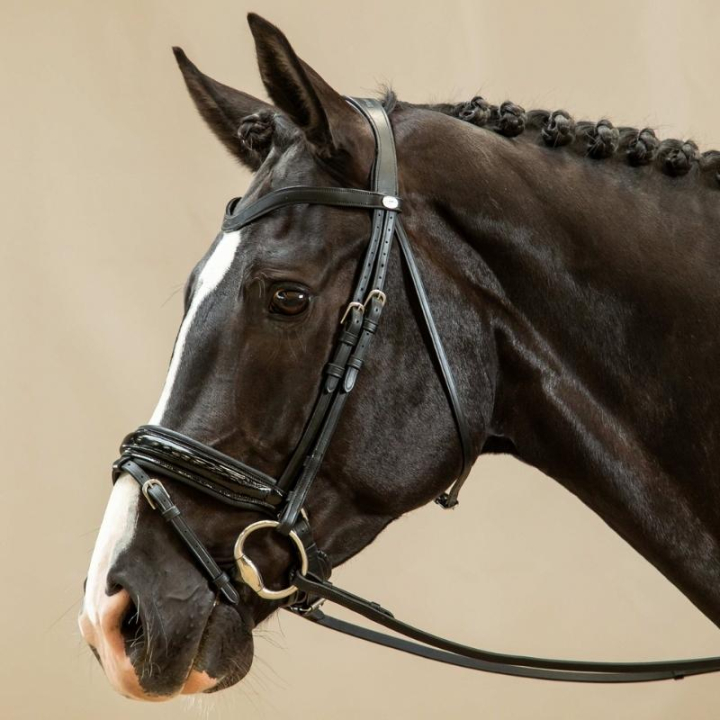 Patent Dressage Bridle Working Collection Black in the group Horse Tack / Bridles & Browbands / Double Bridle, Weymouth & Dressage Bridles at Equinest (WODCANSv_r)
