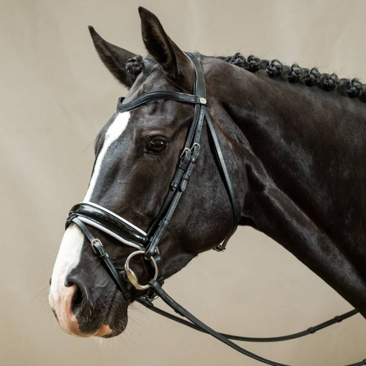 Patent Dressage Bridle with White Padding Working Collection Black in the group Horse Tack / Bridles & Browbands / Double Bridle, Weymouth & Dressage Bridles at Equinest (WODCAOSv_r)