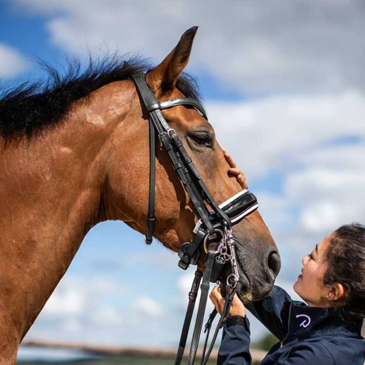 Patent Double Bridle with White Padding Working Collection Black in the group Horse Tack / Bridles & Browbands / Double Bridle, Weymouth & Dressage Bridles at Equinest (WOECATSv_r)