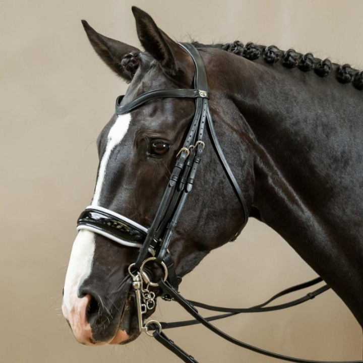 Patent Double Bridle with White Padding Working Collection Black in the group Horse Tack / Bridles & Browbands / Double Bridle, Weymouth & Dressage Bridles at Equinest (WOECATSv_r)