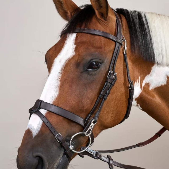 Smooth Noseband Bridle WC Brown in the group Horse Tack / Bridles & Browbands / Bridles at Equinest (WOJOGJBr_r)