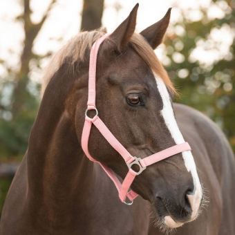 Halter Slide Light Pink