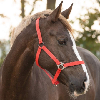 Halter Slide Red