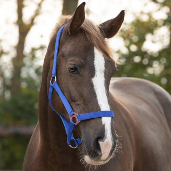 Halter Slide Blue