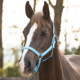 Halter Slide Light Blue