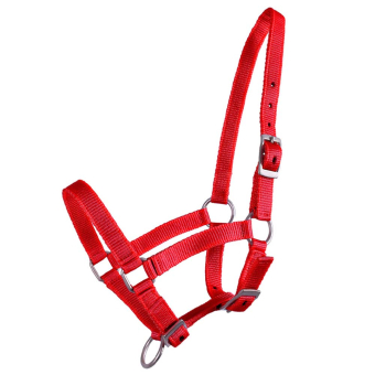 Foal Halter Adjustable Red