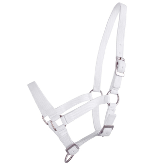 Foal Halter Adjustable White
