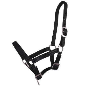 Foal Halter Adjustable Black
