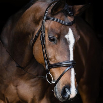 Bridle Monza Black