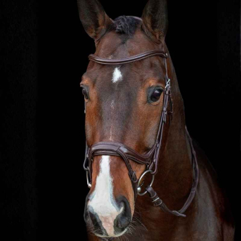 Bridle Ancona Select Brown