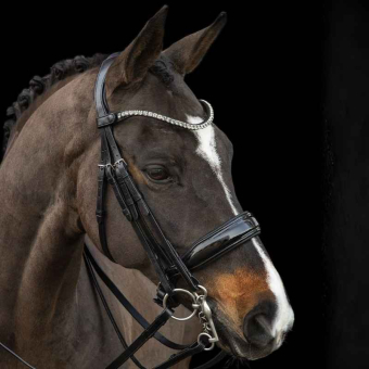 Double Bridle Milazzo Black