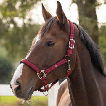 Halter Deluxe Bordeaux