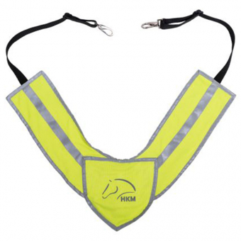 Breastplate Reflective Yellow/Silver