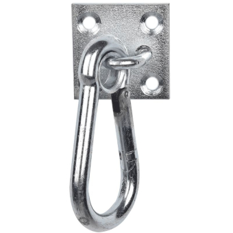 Carabiner Plate Silver