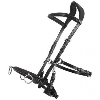 Caveson  Leather Black