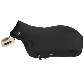 Walking Rug Delta II Walker Black