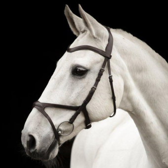 Bridle Arthur Brown